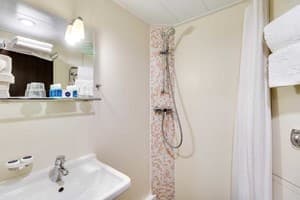 Отель Баккара. Стандарт двухместный Классический с видом на парк 4