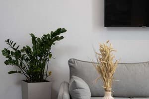 Апарт-отель Be The One Hotel. Люкс двухместный  2