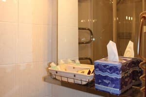 Отель Domus Hotel - 1. Стандарт одноместный  6