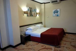 Парк-отель Голосеево. Полулюкс двухместный  6