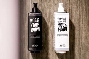 Отель Ibis Kyiv Railway Station. Стандарт двухместный Стандарт 4