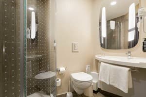 Отель Ibis Kyiv Railway Station. Стандарт двухместный Стандарт 3