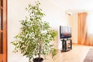 Квартира Однокомнатная, ул. Княжий Затон, 21. Апартаменты двухместный  3