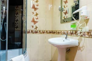 Апарт-отель Poznyakoff Aparthotel. Люкс двухместный 285 11