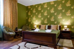 Апарт-отель Poznyakoff Aparthotel. Полулюкс двухместный 457 1