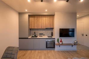 Квартира Slavutich Ecoloft studios. Апартаменты двухместный green 11