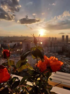 Студия с невероятным видом 9