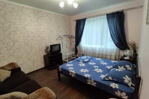 Апарт-отель Вилла Ирина. Эконом двухместный в гостевом доме 4