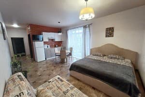 Апарт-отель Вилла Ирина. Студио трехместный  1