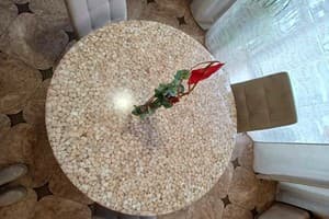 Апарт-отель Вилла Ирина. Студио трехместный  5