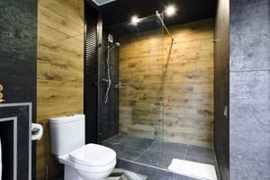 Квартира дизайнерская в центре на бульваре Леси Украинки 17. Апартаменты трехместный  15