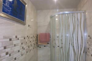 Мини-отель na Gasheka. Люкс двухместный Double 11