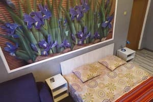 Мини-отель na Gasheka. Стандарт двухместный с общей ванной комнатой 2